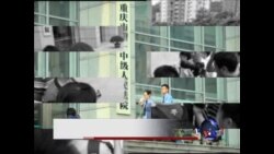 VOA连线:专家观点：雷政富案宣判，中国官场现形记？ 