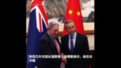 新西兰外交部长访华期间对中国塔斯曼海演习表示关切