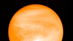 New Study Contradicts Signs of Life Discovery in Venus' Clouds