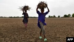 Une femme et son fils portent du bois de feu sur la rive de la rivière Yobe, connue localement sous le nom de Komadougou, près de Diffa, dans le sud-est du Niger, le 20 juin 2016