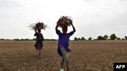 ARCHIVES - Une femme et son fils portent du bois de feu sur la rive sèche de la rivière Yobe, connue localement sous le nom de Komadougou, près de Diffa, dans le sud-est du Niger, le 20 juin 2016.