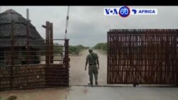 Manchetes Africanas 29 Junho: Limpopo em Moçambique volta a ser notícia