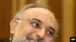 Head of Iran's Atomic Energy Organization Ali Akbar Salehi (file photo)