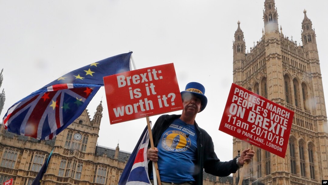 Seorang demonstran di depan parlemen London, 17 Oktober 2018. 