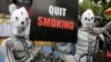 OMS lanza campaña contra industria del tabaco