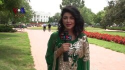 کہانی پاکستانی - Pakistan Independence Day Special