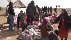 Դաեշի զինյալների ընտանիքների մշուշոտ ապագան