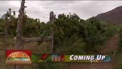 Buenos Días América 