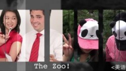 美语怎么说 (15) The zoo! - 动物园