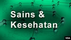 Terlantar dan Terasingkan, Penderita Lepra di Kamerun Terus Meningkat