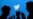 Twitter Releases 2016 Trending Topics