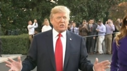 Trump Insists There Was 'No Collusion' Between His Campaign, Russians