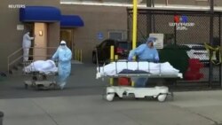 Նյու Յուրքում ‘’իրադրությունը հարթվում է շատ մեծ բարձրությունից’’