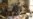 16x9 Image