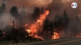 Estallan incendios en California debido a peligrosas condiciones climáticas