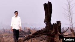 Presiden Joko Widodo memeriksa kebakaran hutan di Banjarbaru, provinsi Kalimantan selatan, Indonesia, 23 September 2015. (Foto: dok. Antara Foto)