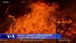 Brazil, zjarret shkatërrojnë 11 milionë hektarë pyje dhe toka bujqësore