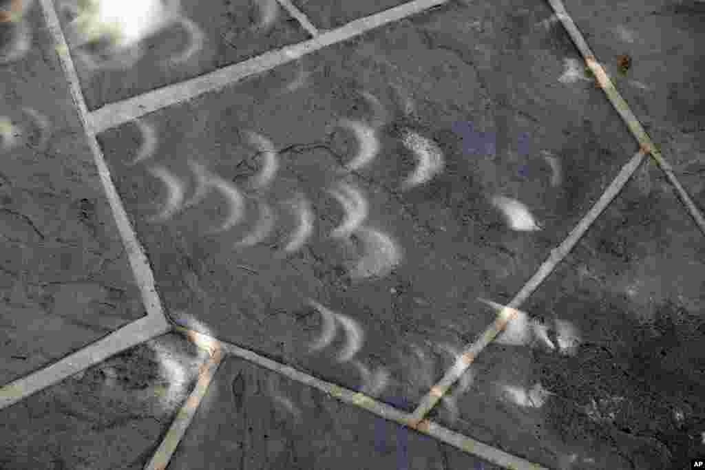 Projected images of the eclipse is seen through the leaves on the trees on the sidewalk at the White House in Washington, Monday, Aug. 21, 2017. (AP Photo/Alex Brandon)