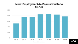 Iowa Caucus - Demographics - Employment