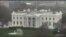 Тимчасова заборона на в'їзд до США громадянам семи країн: протести та реакції. Відео