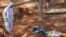 Burial of a victim of Covid-19 at Cemitério São Luis, south zone of São Paulo,  Brazil, June 23, 2020.