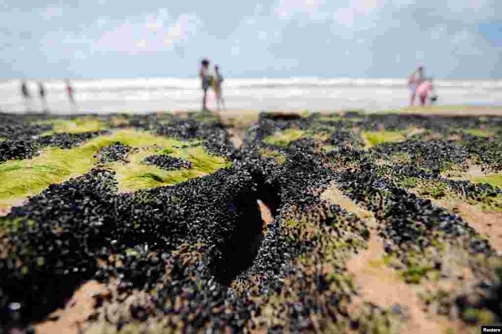 An oil spill is seen on &#39;Sitio do Conde&#39; beach in Conde, Bahia state, Brazil, Oct. 12, 2019.