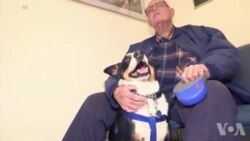 Yon Medikaman ki Ede Chyen ki Soufri ak Epilepsi