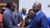 Le président Félix Tshisekedi, à droite, accompagné de son épouse salue son homologue namibien Hage Geingob, à Windhoek, Namibie, le 27 février 2019. (Présidence RDC)