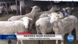 AQSh-Meksika-Kanada: yangi savdo kelishuvi?