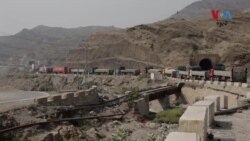 افغانستان ته د سبزیانو د تخمونو په لېږلو بندیز: نتیجه به یې پخپله پاکستان ته څه وي؟