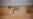 Migrant Organization: At Least 65 Bodies Found in Mass Grave in Libya