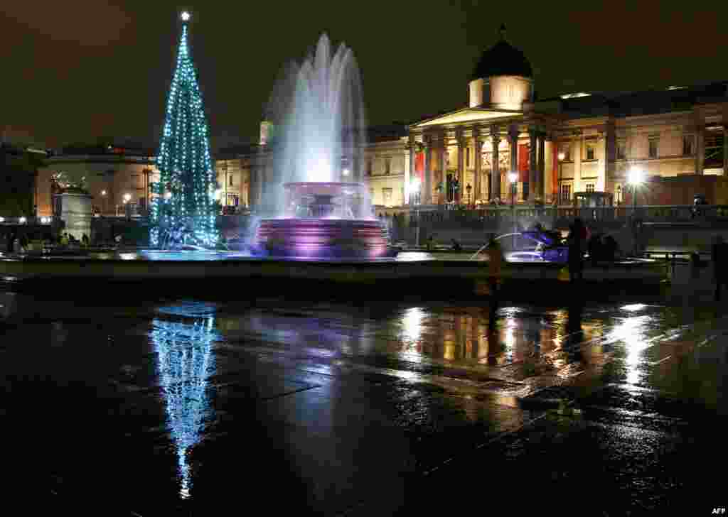 Cây Giáng Sinh tại quảng trường Trafalgar của trung tâm London sau khi đèn được bật lên ngày 1 tháng 12. (Reuters/Olivia Harris)