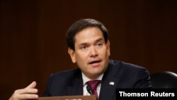 U.S. Sen. Marco Rubio speaks during a Senate Intelligence Committee nomination hearing for Rep. John Ratcliffe, on Capitol Hill in Washington