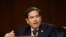 Marco rubio, senador republicano por Florida, participa en una audiencia del Comité de Inteligencia de la Cámara Alta. [Foto de archivo]