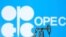 오스트리아 빈의 석유수출국기구(OPEC) 본부.