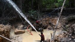 EE.UU. Senado minería ilícita Latinoamérica