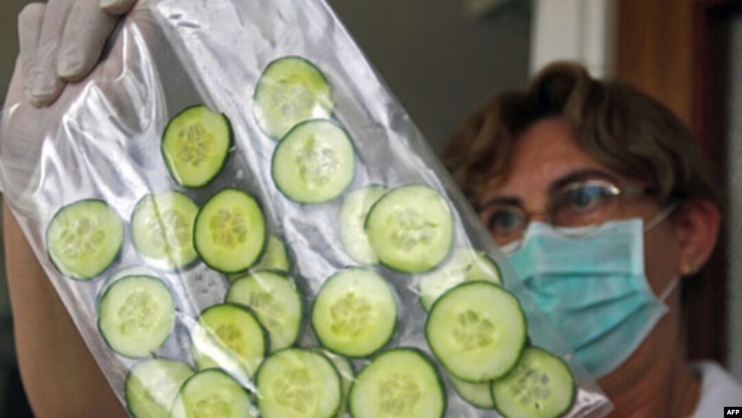 Laboratorijska tehničarka u Mađarskoj testira uzorke krastavaca koji su, kako izgleda, bili lažno optuženi kao uzrok zaraze smrtonosnom bakterijom
