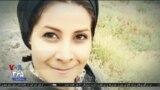 اخبار شامگاهی