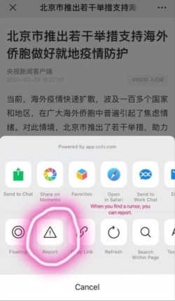 A screengrab of WeChat’s rumor alert button, March 29, 2020.