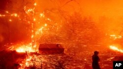 Bruce McDougal prepares to defend his home as the Bond Fire burns though the Silverado community in Orange County, California.