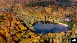 Colorful trees surround the small Hattstein lake in Usingen in the Taunus region near Frankfurt, Germany.