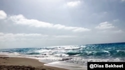 Rising tide in Miami Beach, Florida. (Photo: Diaa Bekheet)