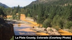 Air sungai Animas di La Plata, negara bagian Colorado berubah warna menjadi kuning pekat akibat bobolnya bendungan limbah tambang emas Gold King.