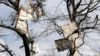 Metal roofing sheets are seen on trees after strong thunderstorms pass through the Greater Houston region in Texas, Dec. 28, 2024. (Jason Fochtman/Houston Chronicle via AP)