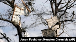 Metal roofing sheets are seen on trees after strong thunderstorms pass through the Greater Houston region in Texas, Dec. 28, 2024. (Jason Fochtman/Houston Chronicle via AP)