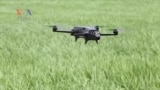 Farmers in Ghana Using Drones for Pest, Disease Surveillance