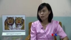 မြွေအန္တရာယ်ကြိုတင်ကာကွယ်