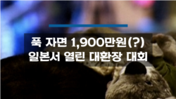푹 자면 1,900만원(?) 일본서 개최된 대환장 대회