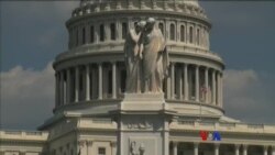 အမေရိကန် နိုင်ငံရေး