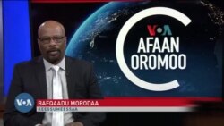 Tamsaasa Guyaadhaa Guyyaa